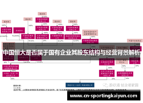 中国恒大是否属于国有企业其股东结构与经营背景解析